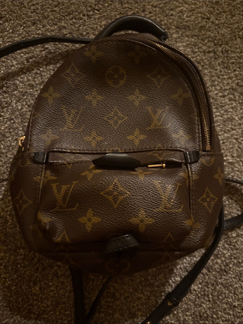 Louis Vuitton Monogram Canvas Mini Backpack in Brown and Gold